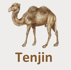 Tenjin (Perl)
